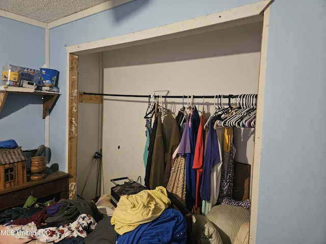 8800 Graham Rd, Moss Point, MS 39562 - view of closet