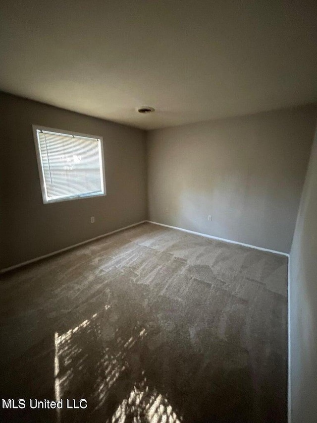 empty room featuring carpet floors