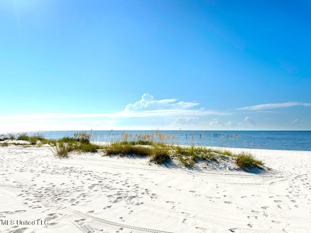 water view featuring a beach view