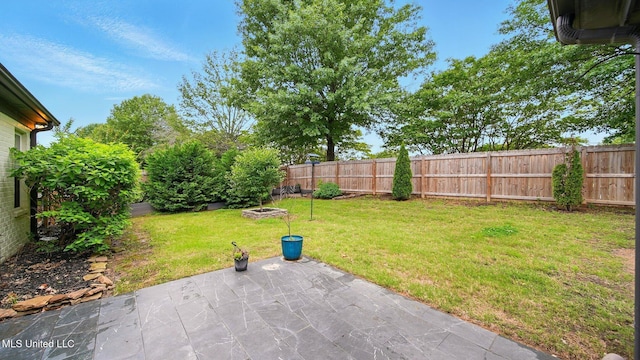 view of yard with a patio area