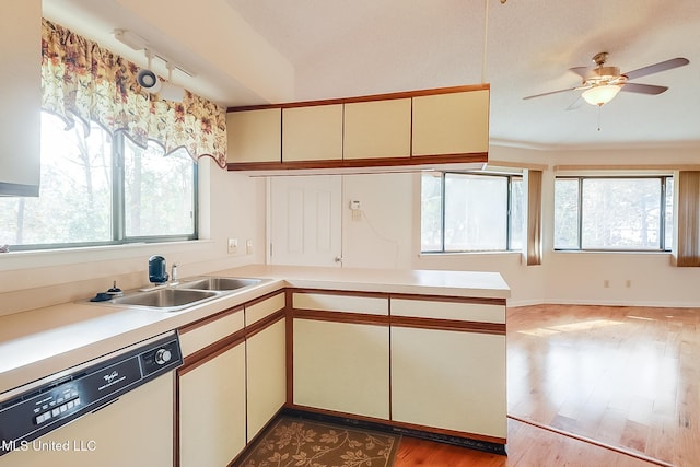 kitchen with sink, a healthy amount of sunlight, dishwasher, and light wood-type flooring