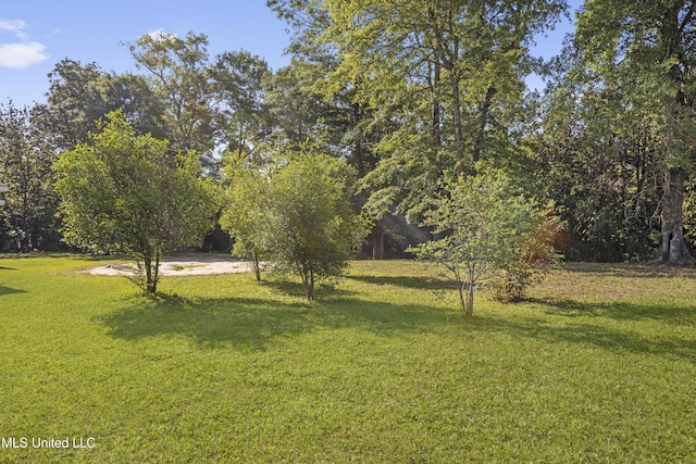 view of yard