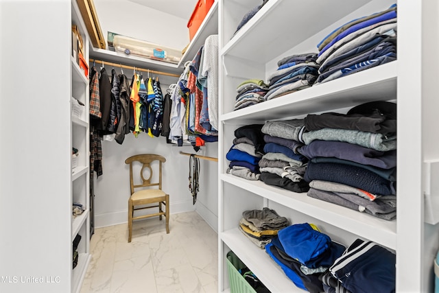 view of spacious closet