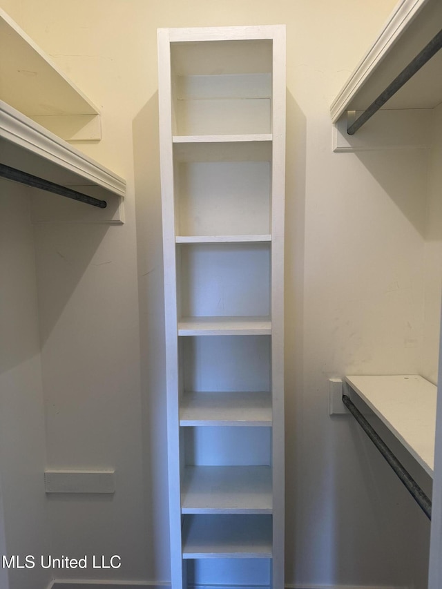 view of spacious closet