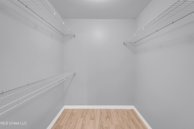 walk in closet featuring wood finished floors