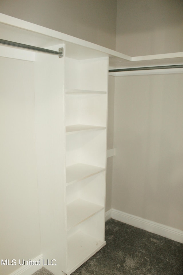 walk in closet with dark carpet