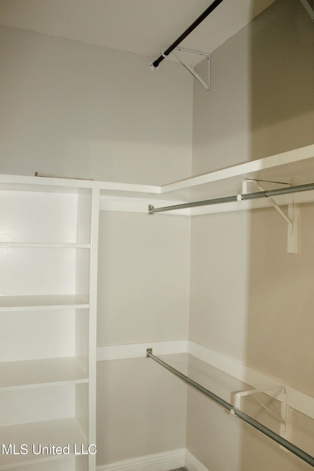 view of walk in closet