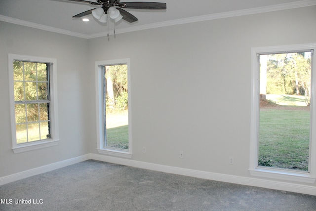 spare room featuring crown molding, carpet floors, and ceiling fan