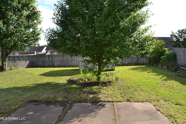 view of yard