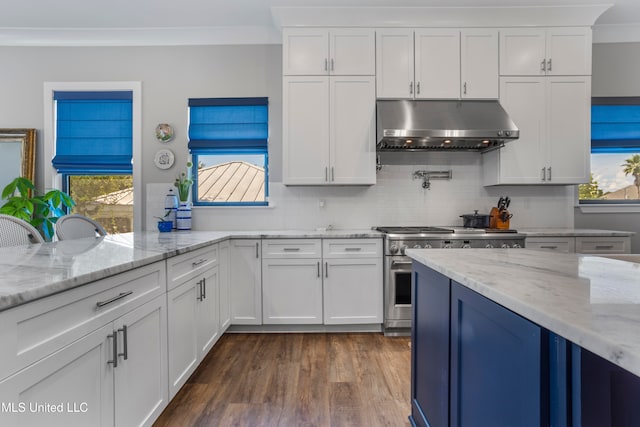 kitchen featuring dark hardwood / wood-style flooring, light stone counters, high end stove, crown molding, and white cabinetry