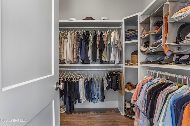 walk in closet featuring dark wood-type flooring