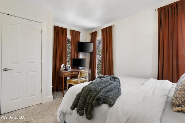 bedroom featuring light colored carpet