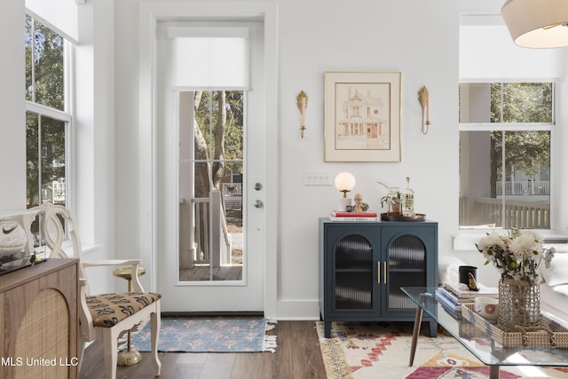 doorway featuring wood finished floors and a wealth of natural light