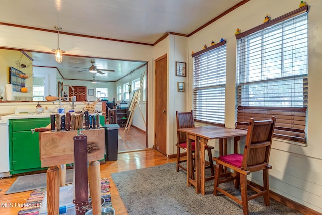 dining room featuring crown molding, light hardwood / wood-style flooring, and ceiling fan