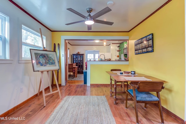 dining room featuring crown molding, ceiling fan, and light hardwood / wood-style floors