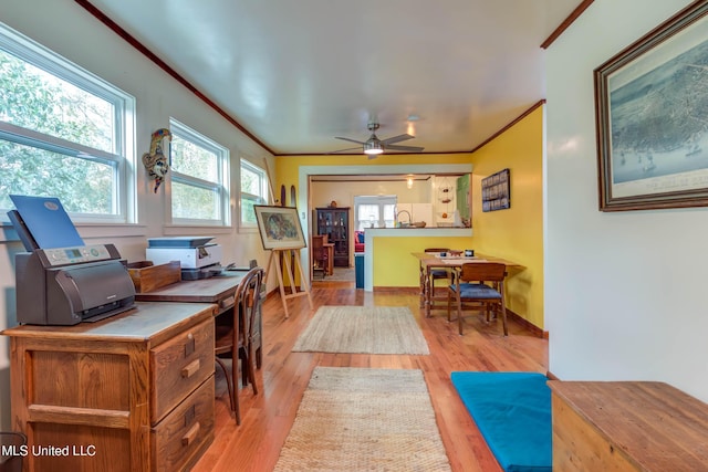 office featuring ornamental molding, ceiling fan, and light hardwood / wood-style flooring