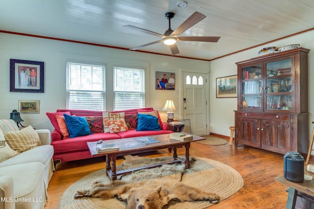 living room featuring hardwood / wood-style floors, crown molding, and ceiling fan