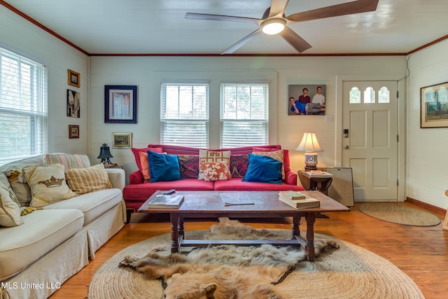 living room with ornamental molding, a wealth of natural light, and light hardwood / wood-style flooring