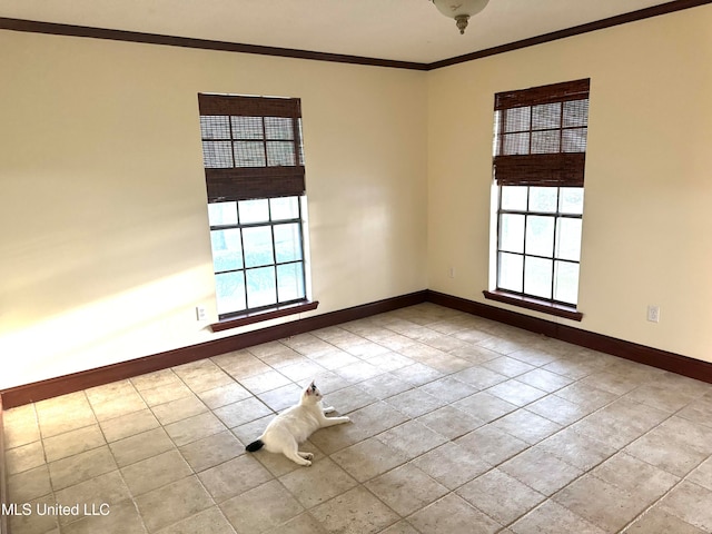 empty room with ornamental molding and plenty of natural light