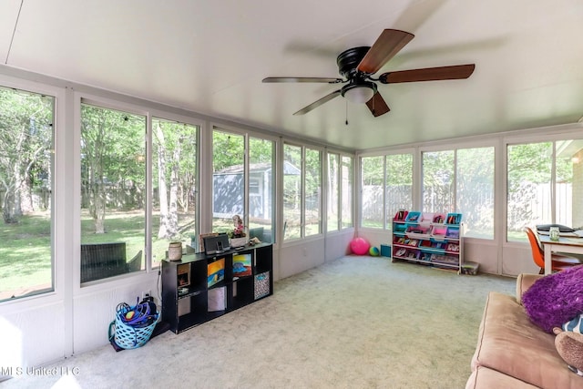 sunroom with carpet floors, plenty of natural light, and ceiling fan