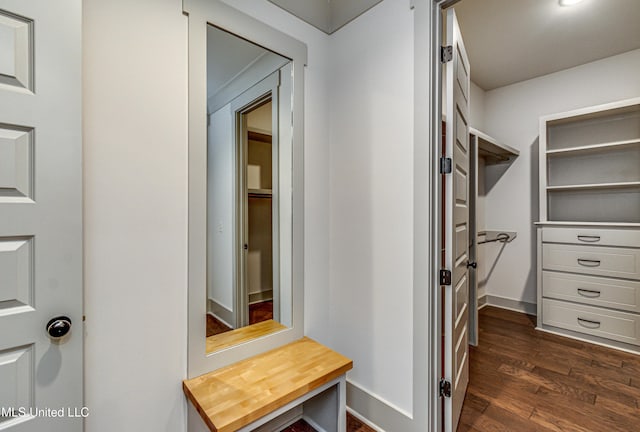 walk in closet with dark hardwood / wood-style floors