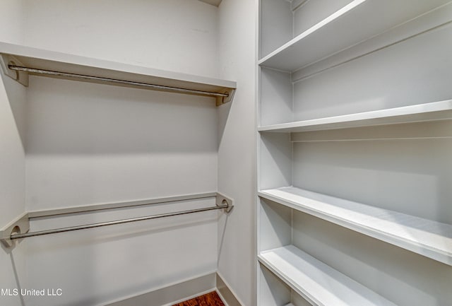 spacious closet featuring wood-type flooring