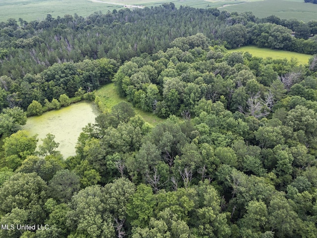 Lewis Prestage Rd, Pelahatchie, MS 39145