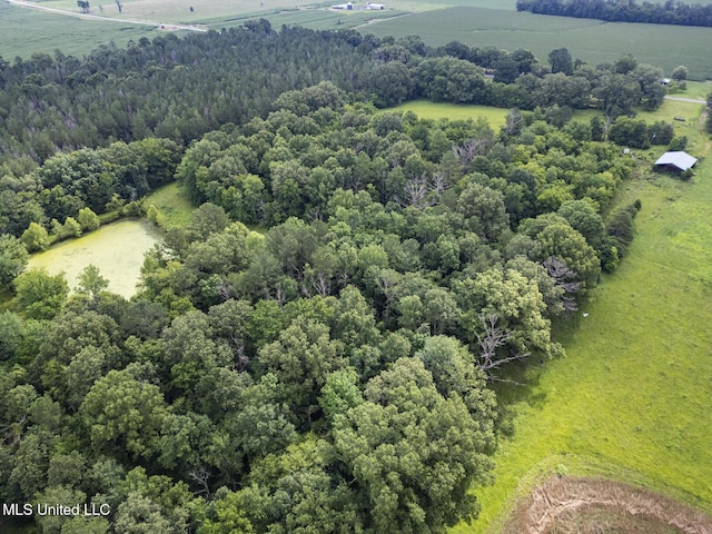 Lewis Prestage Rd, Pelahatchie, MS 39145