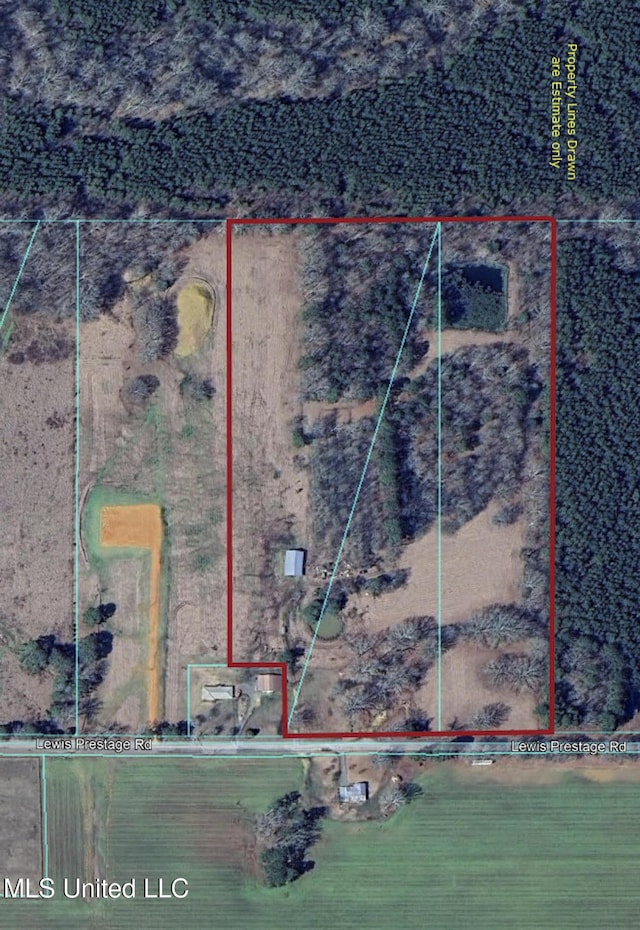 Lewis Prestage Rd, Pelahatchie, MS 39145