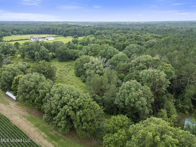 Lewis Prestage Rd, Pelahatchie, MS 39145
