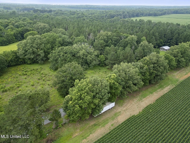 Lewis Prestage Rd, Pelahatchie, MS 39145