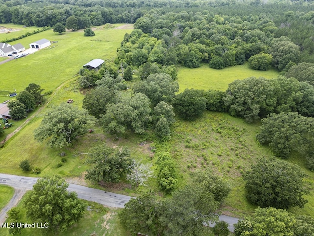 Lewis Prestage Rd, Pelahatchie, MS 39145