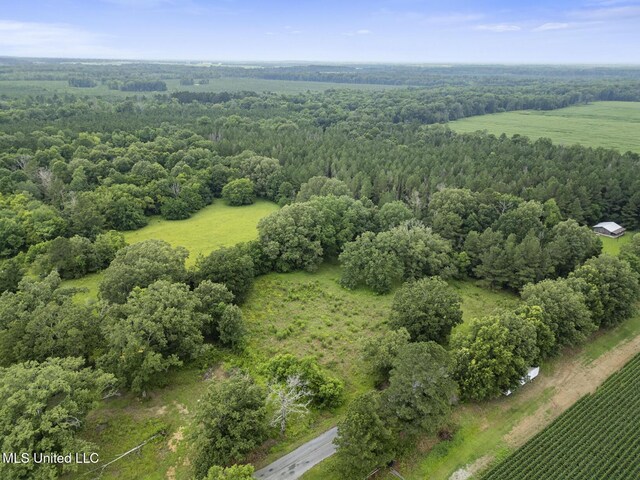 Lewis Prestage Rd, Pelahatchie, MS 39145