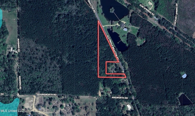 Old Pinola Braxton Rd, Braxton MS, 39044 land for sale