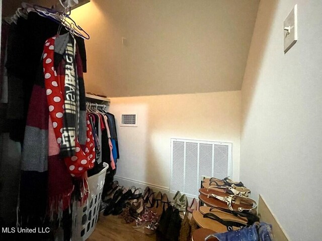 6 Lunker Ln, Poplarville, MS 39470 - walk in closet with wood finished floors and vaulted ceiling
