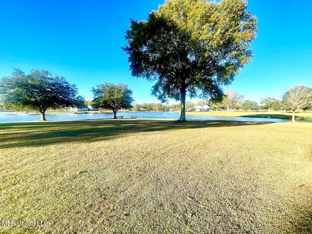 6 Lunker Ln, Poplarville, MS 39470 - view of community with a water view and a yard