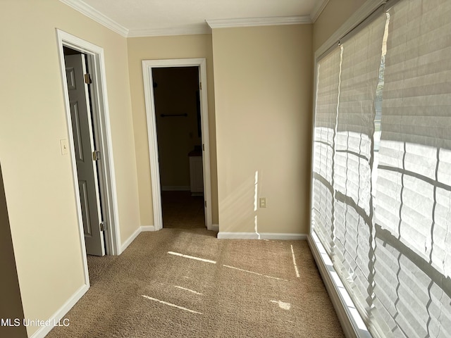 corridor featuring ornamental molding and carpet floors