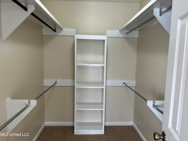 walk in closet featuring carpet floors