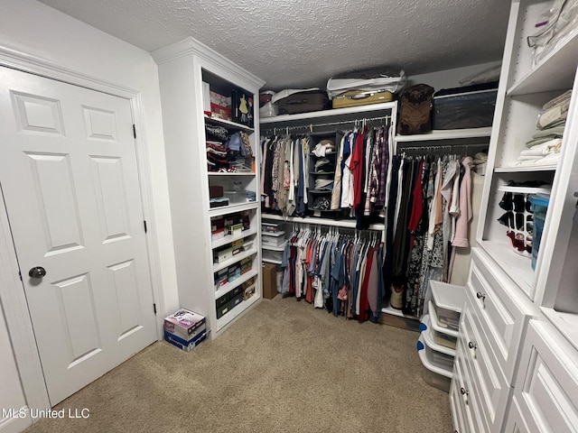 308 Barrington Cv, Byram, MS 39272 - walk in closet featuring carpet flooring