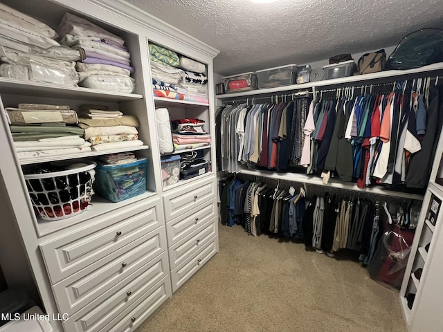 308 Barrington Cv, Byram, MS 39272 - walk in closet featuring light colored carpet