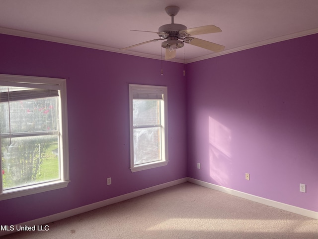 empty room with carpet flooring, ceiling fan, and ornamental molding