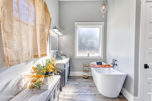 bathroom with a bath, vanity, and hardwood / wood-style floors