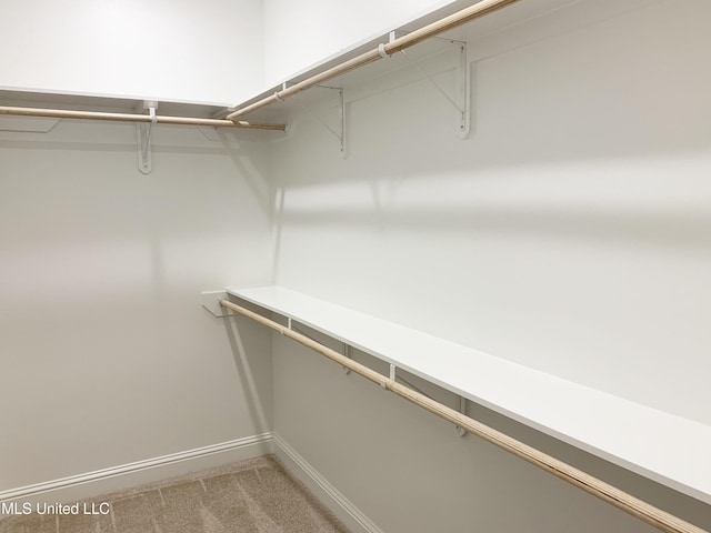 spacious closet with light carpet
