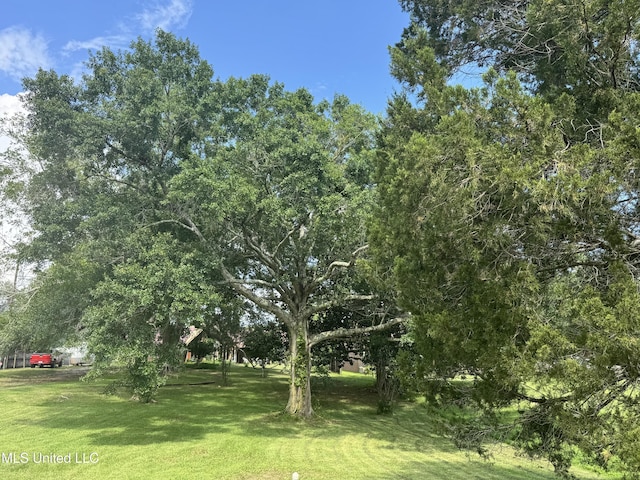 5114 Bay St, Pascagoula, MS 39567 - view of grassy yard