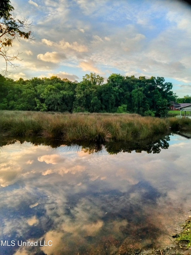 5114 Bay St, Pascagoula, MS 39567 - view of undeveloped land with a large body of water