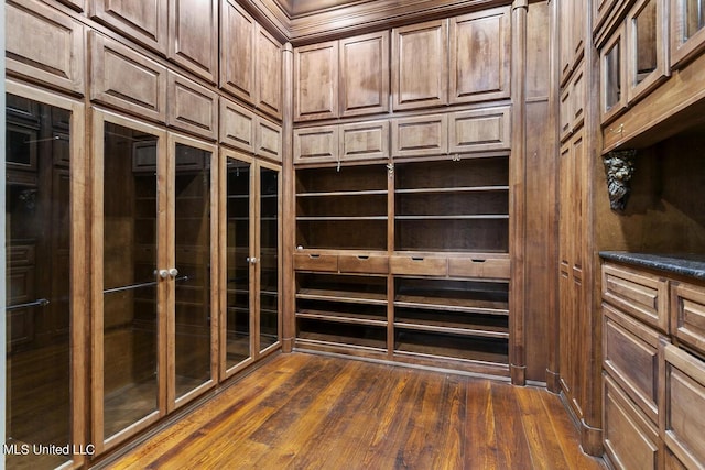 spacious closet with dark wood-type flooring