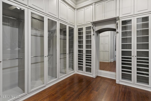 walk in closet featuring dark wood-type flooring