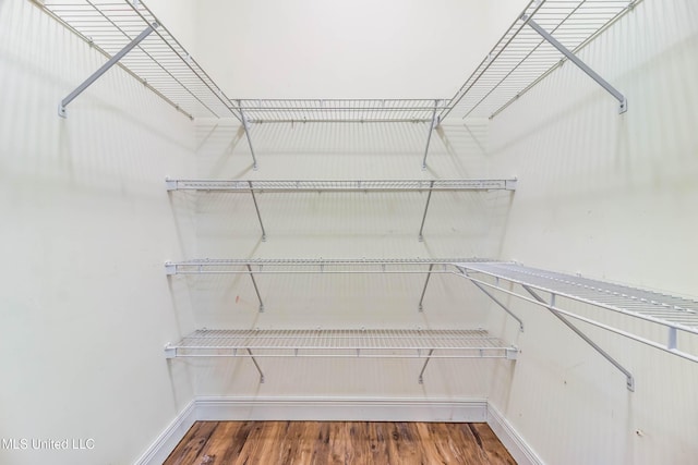 spacious closet featuring wood finished floors