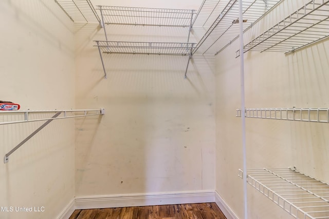 walk in closet featuring wood finished floors