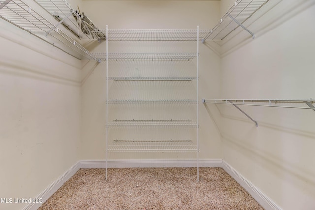 walk in closet featuring carpet flooring